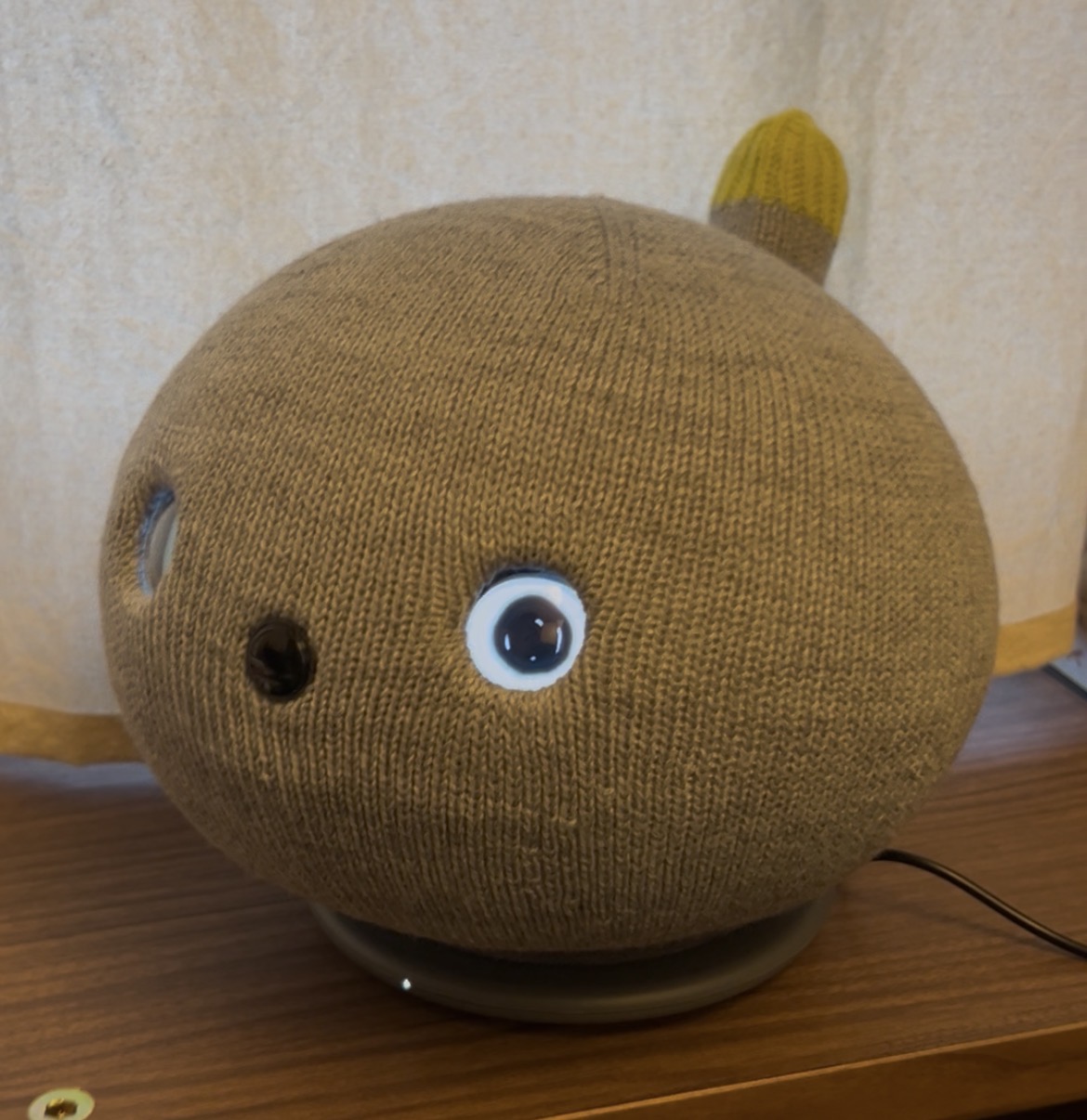 ニコボが家にやってきた！